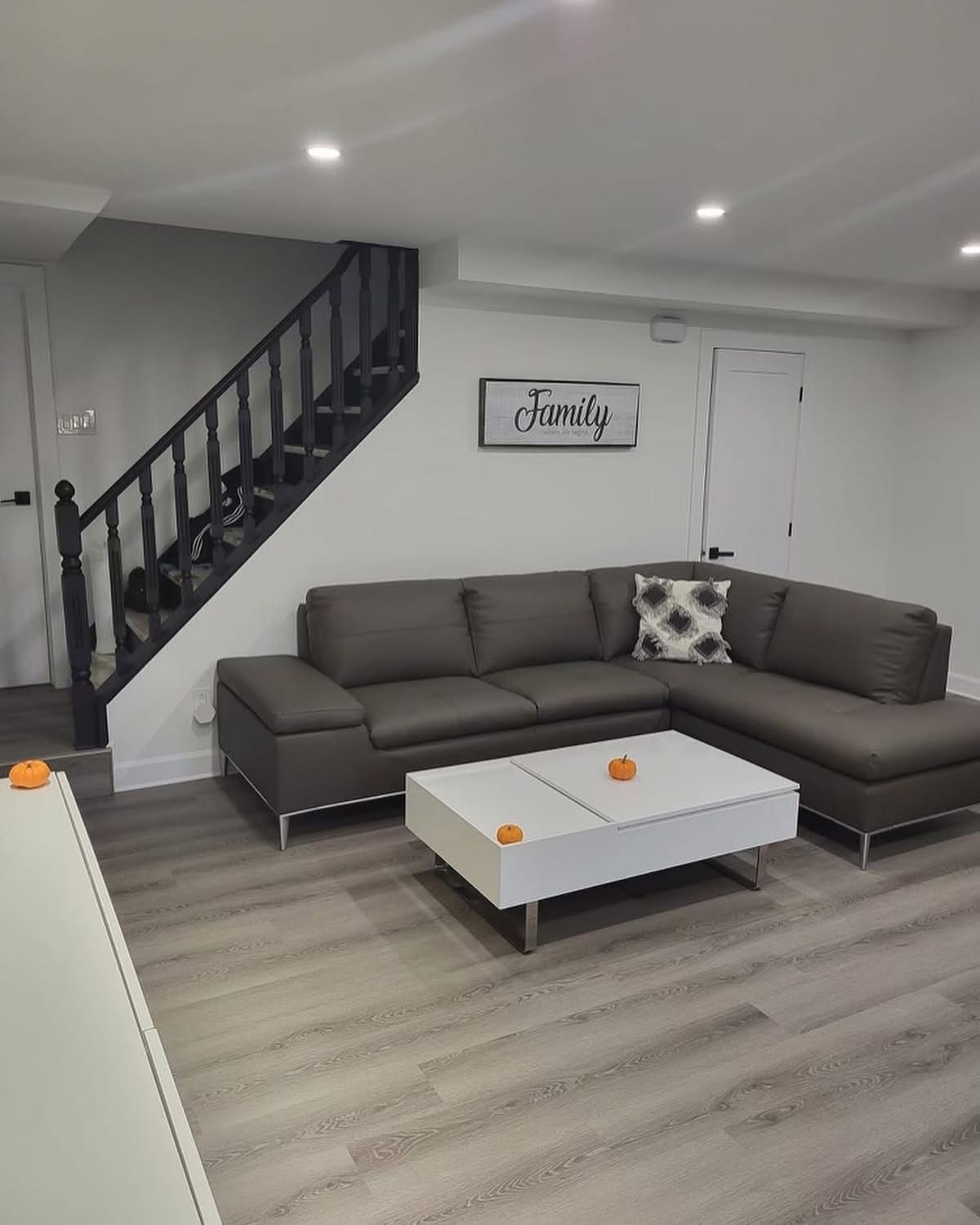 Basement Renovation