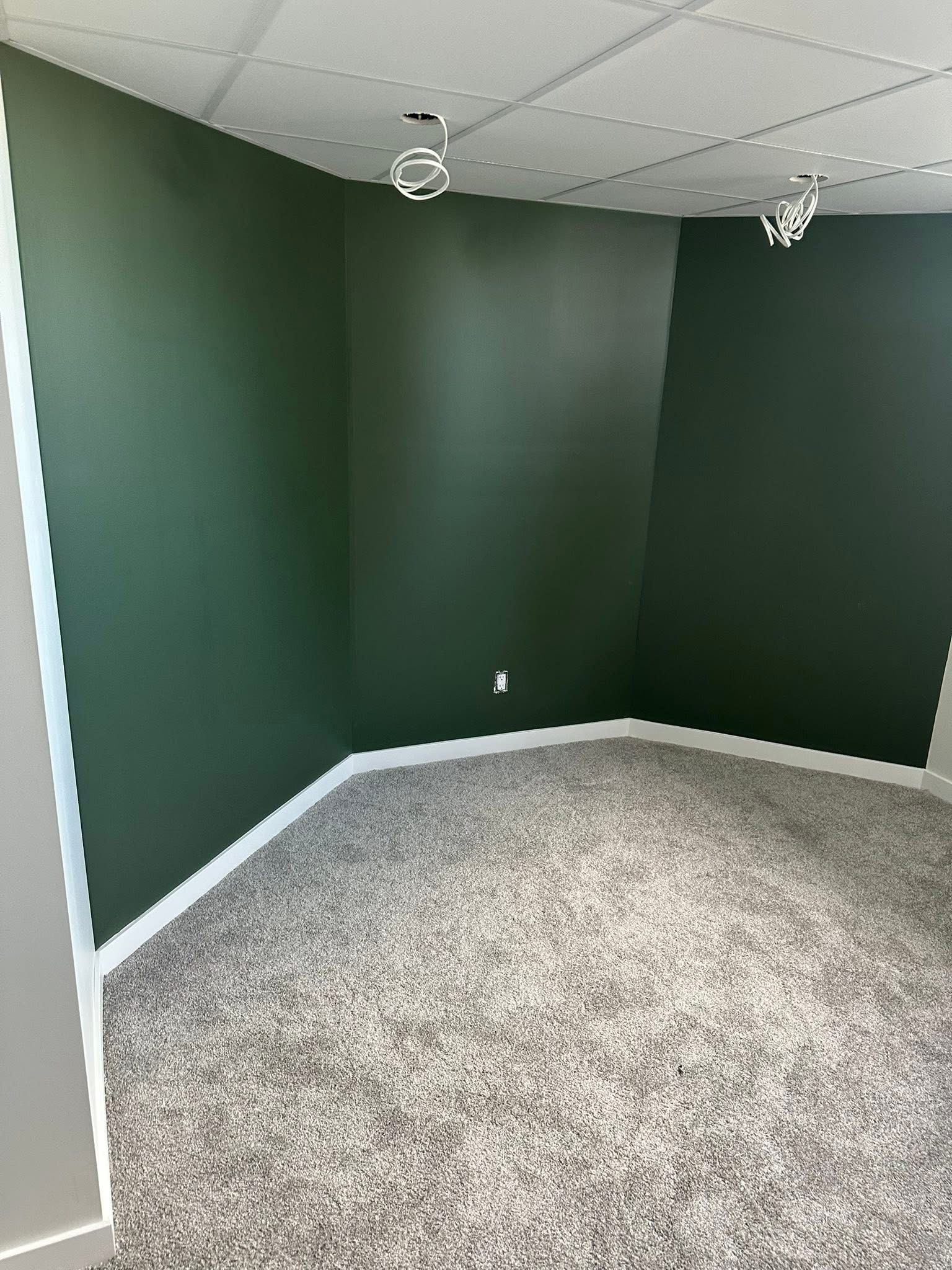 Basement Renovation