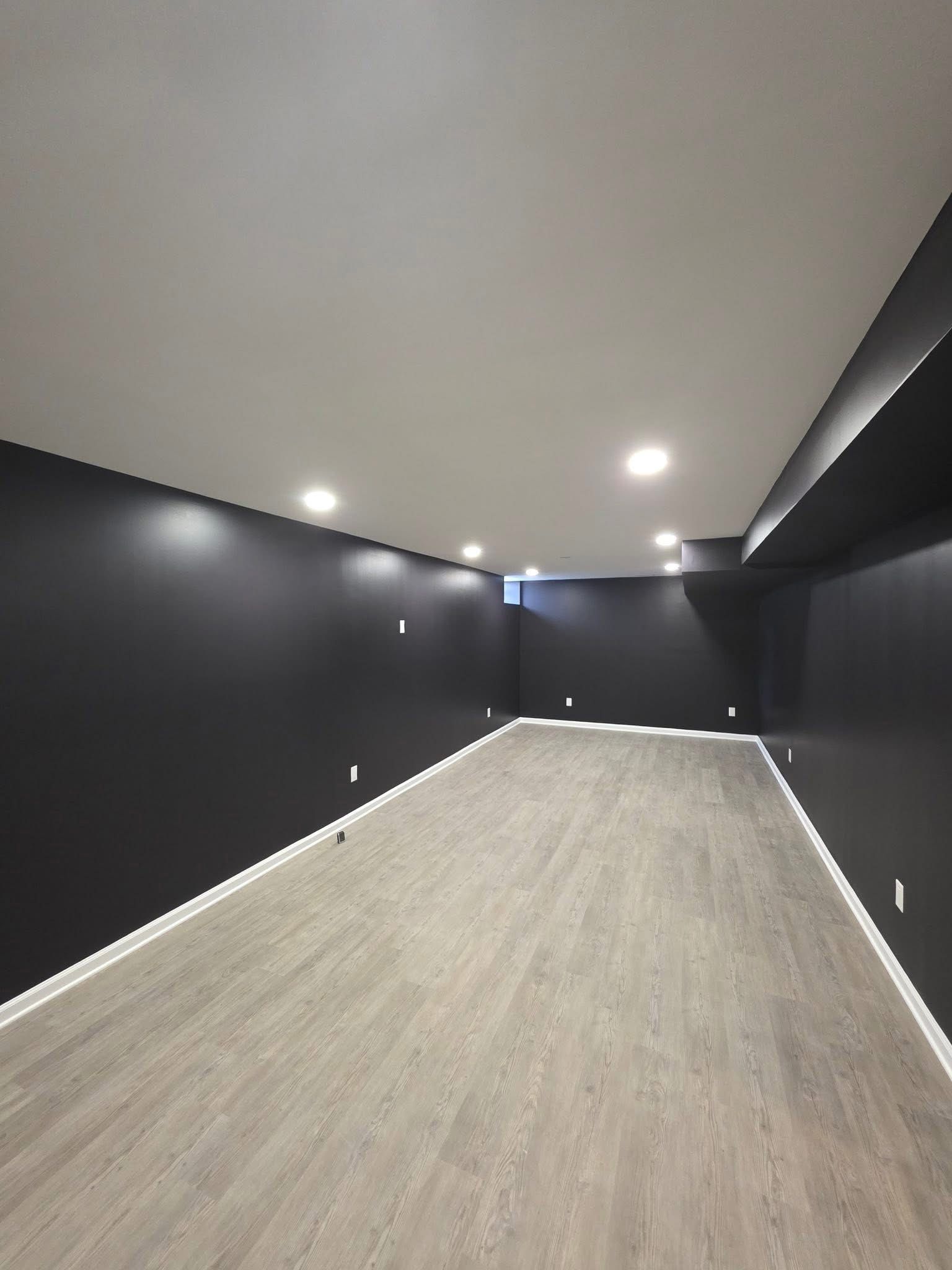 Basement Renovation